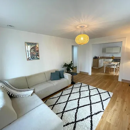 Moderne Et Spacieux, A 10 Min De La Gare Apartment Colmar
