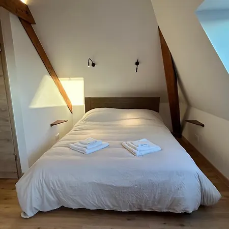 Apartment Moderne Et Spacieux, A 10 Min De La Gare Colmar