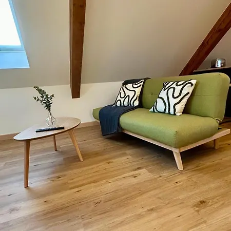 Moderne Et Spacieux, A 10 Min De La Gare Daire Colmar