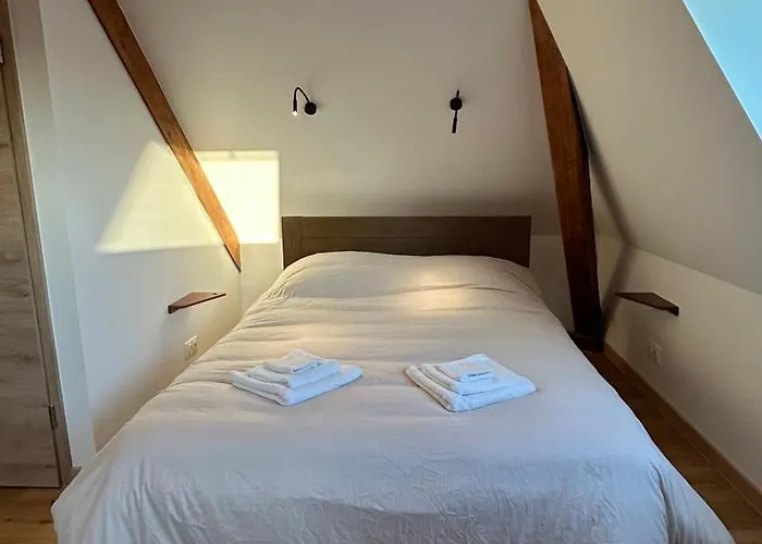 Apartment Moderne Et Spacieux, A 10 Min De La Gare Colmar