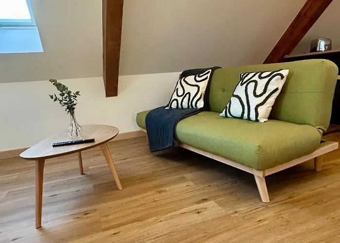 Moderne Et Spacieux, A 10 Min De La Gare Apartment Colmar