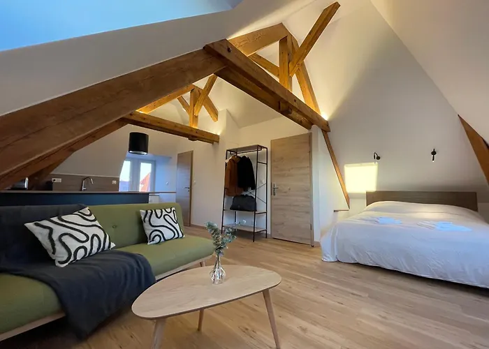 Apartment Moderne Et Spacieux, A 10 Min De La Gare Colmar